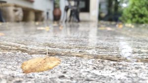 Art. History. Experience. – Descoperă Casa Tătărăscu printr-o vizită exclusivistă în 2026