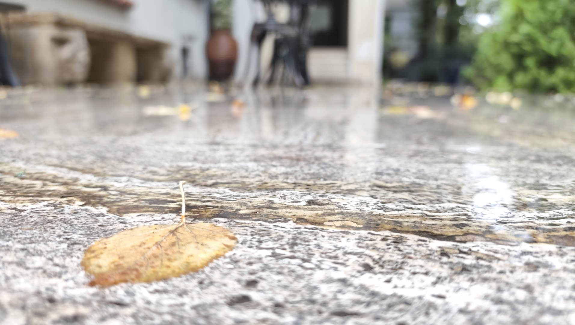 Art. History. Experience. – Descoperă Casa Tătărăscu printr-o vizită exclusivistă în 2026