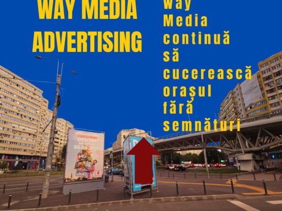 Way Advertise Production SRL: Antoanela Vasilescu și scandalul publicității fără avize și plata impozitelor